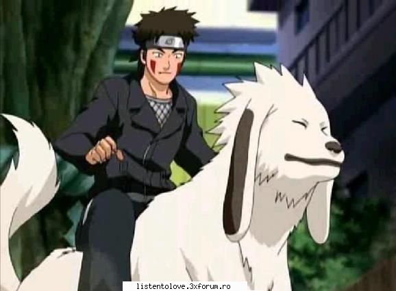Poze - Akamaru si Kiba - Naruto